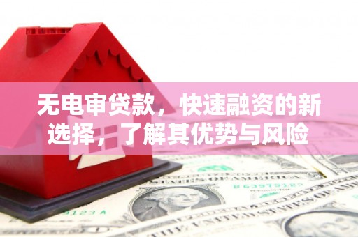 莲都无电审贷款，快速融资的新选择，了解其优势与风险