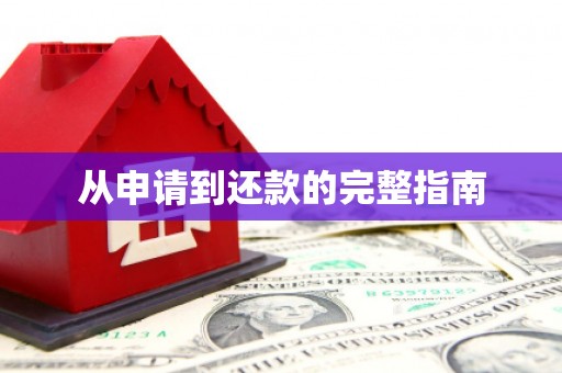 莲都从申请到还款的完整指南