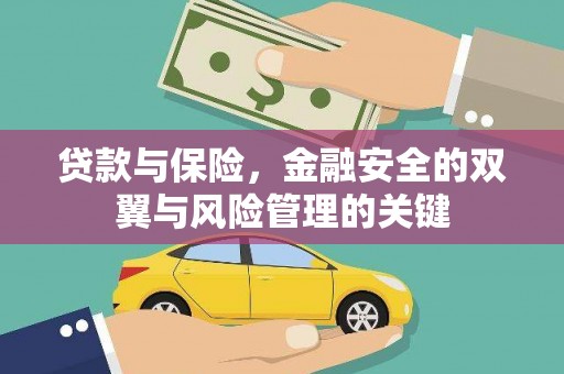 莲都贷款与保险，金融安全的双翼与风险管理的关键