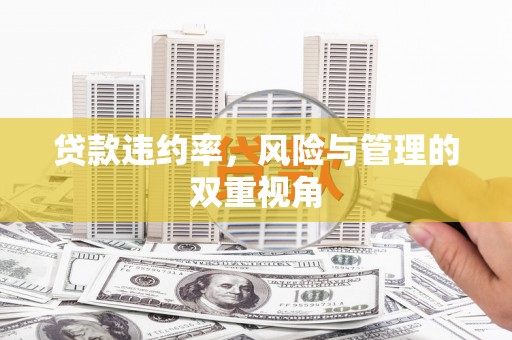 莲都贷款违约率，风险与管理的双重视角