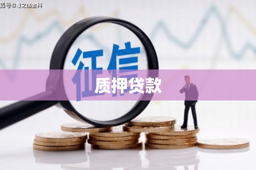 莲都质押贷款