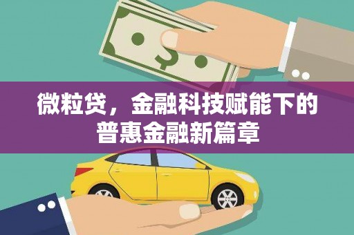莲都微粒贷，金融科技赋能下的普惠金融新篇章