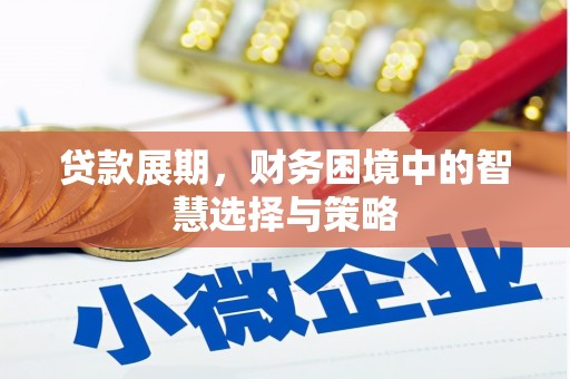 莲都贷款展期，财务困境中的智慧选择与策略