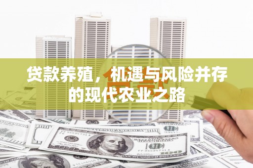 莲都贷款养殖，机遇与风险并存的现代农业之路