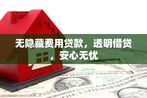 莲都无隐藏费用贷款，透明借贷，安心无忧