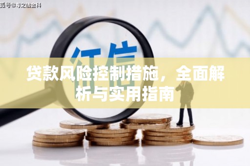 莲都贷款风险控制措施，全面解析与实用指南
