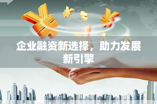 莲都企业融资新选择，助力发展新引擎