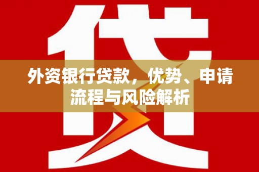 莲都外资银行贷款，优势、申请流程与风险解析