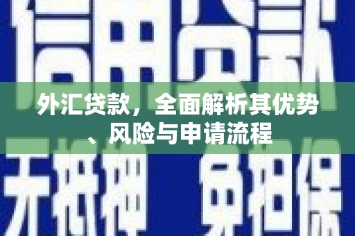 莲都外汇贷款，全面解析其优势、风险与申请流程
