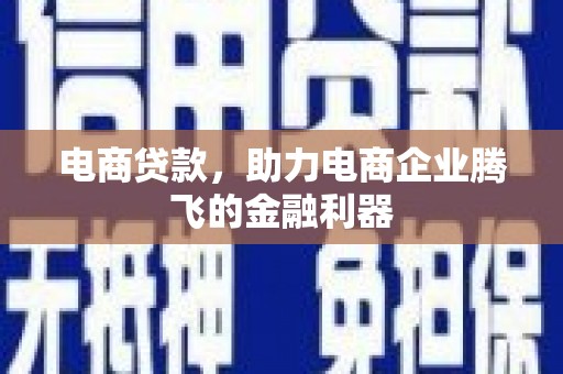 莲都电商贷款，助力电商企业腾飞的金融利器