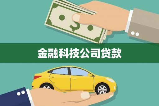 莲都金融科技公司贷款