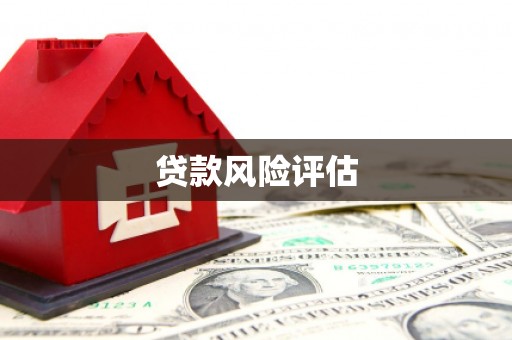 莲都贷款风险评估