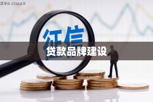 莲都贷款品牌建设