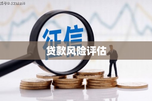 莲都贷款风险评估