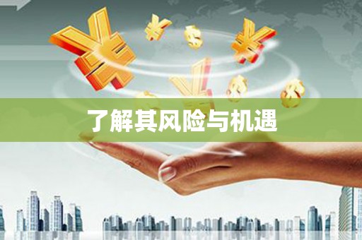 莲都了解其风险与机遇
