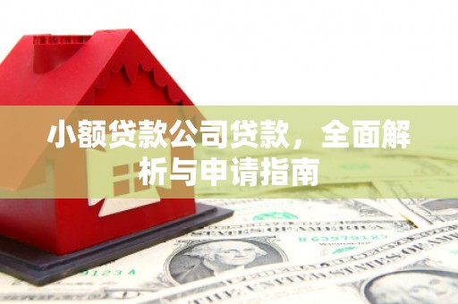 莲都小额贷款公司贷款，全面解析与申请指南