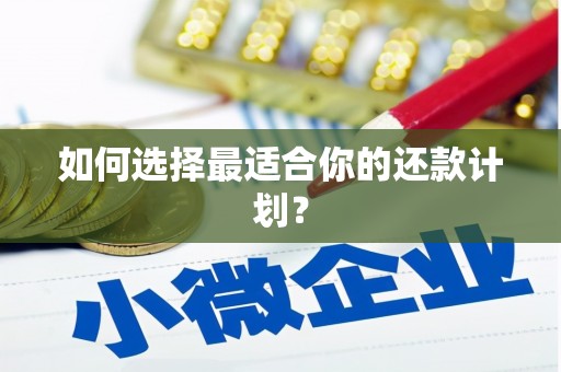 莲都如何选择最适合你的还款计划？