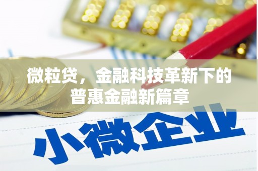 莲都微粒贷，金融科技革新下的普惠金融新篇章