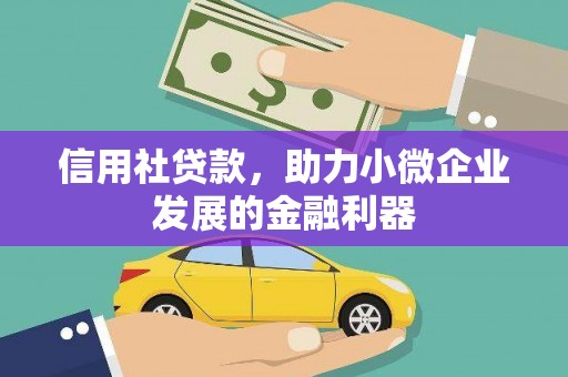莲都信用社贷款，助力小微企业发展的金融利器