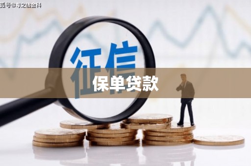 莲都保单贷款