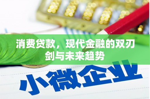 莲都消费贷款，现代金融的双刃剑与未来趋势