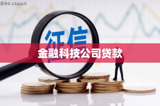 莲都金融科技公司贷款