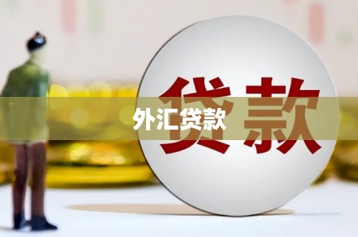 莲都外汇贷款