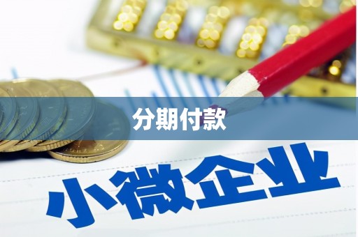 莲都分期付款
