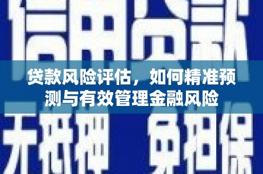 莲都贷款风险评估，如何精准预测与有效管理金融风险