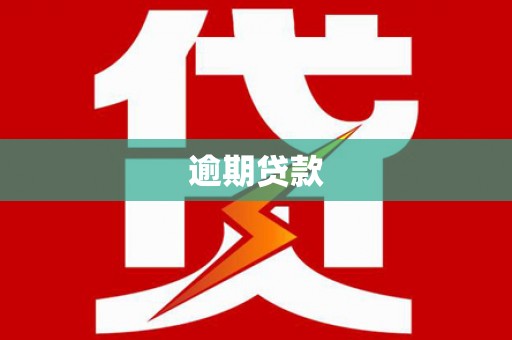 莲都逾期贷款