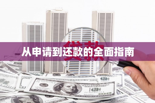 莲都从申请到还款的全面指南