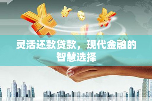 莲都灵活还款贷款，现代金融的智慧选择