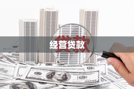 莲都经营贷款