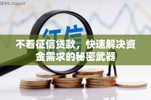 莲都不看征信贷款，快速解决资金需求的秘密武器