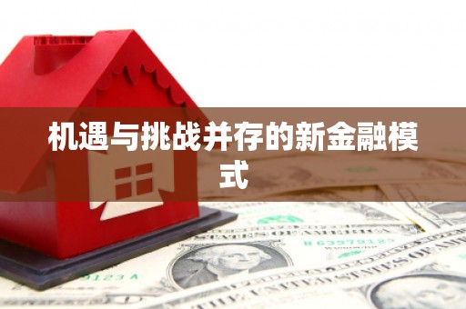 莲都机遇与挑战并存的新金融模式