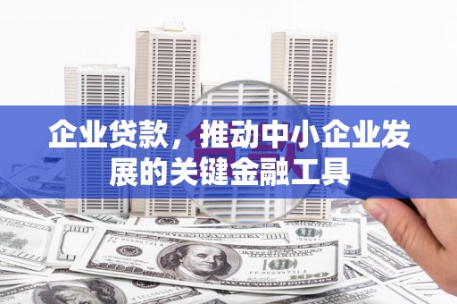 莲都企业贷款，推动中小企业发展的关键金融工具