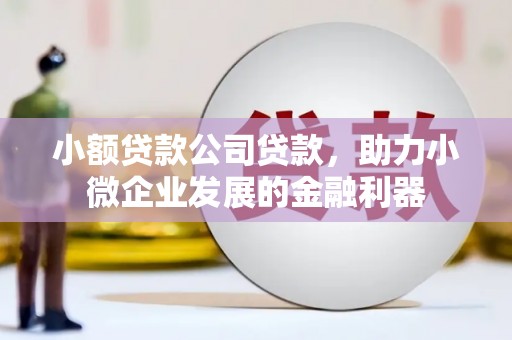 莲都小额贷款公司贷款，助力小微企业发展的金融利器