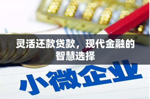 莲都灵活还款贷款，现代金融的智慧选择