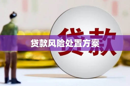 莲都贷款风险处置方案