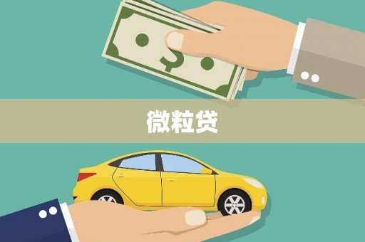 莲都微粒贷