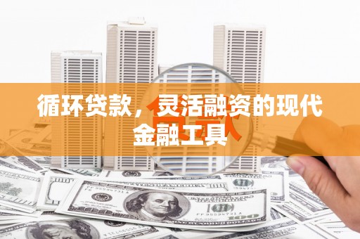 莲都循环贷款，灵活融资的现代金融工具