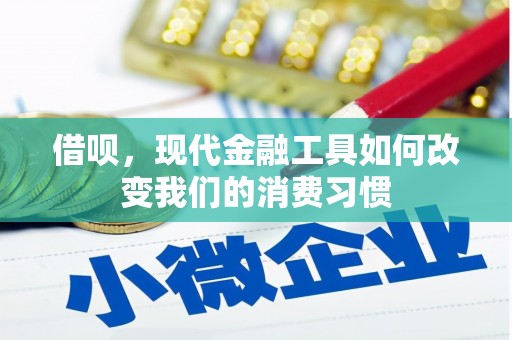 莲都借呗，现代金融工具如何改变我们的消费习惯