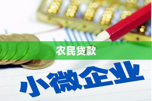 莲都农民贷款