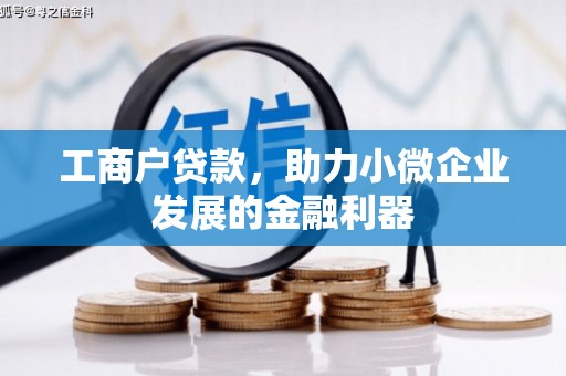 莲都工商户贷款，助力小微企业发展的金融利器