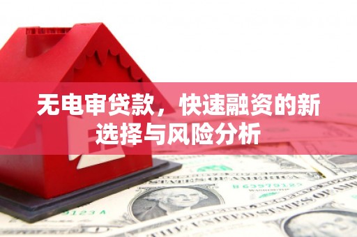 莲都无电审贷款，快速融资的新选择与风险分析