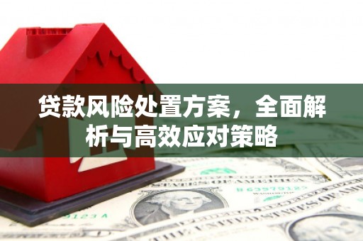 莲都贷款风险处置方案，全面解析与高效应对策略