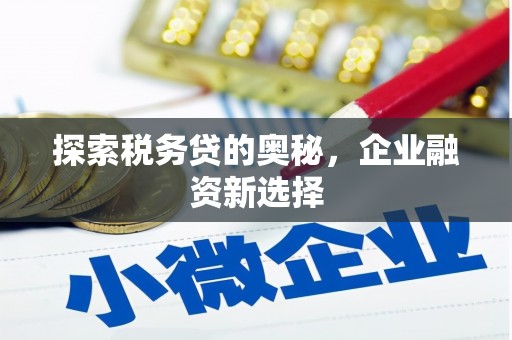 莲都探索税务贷的奥秘，企业融资新选择