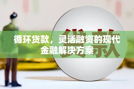 莲都循环贷款，灵活融资的现代金融解决方案