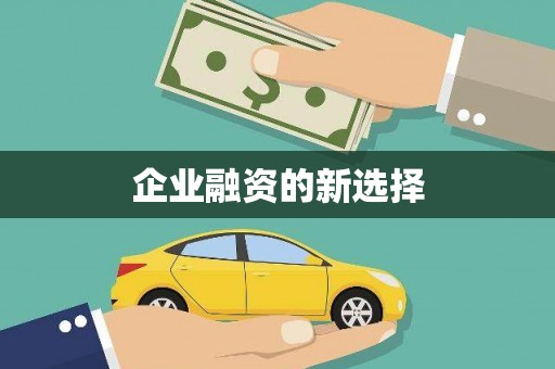 莲都企业融资的新选择