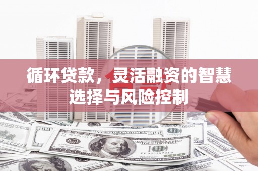 莲都循环贷款，灵活融资的智慧选择与风险控制